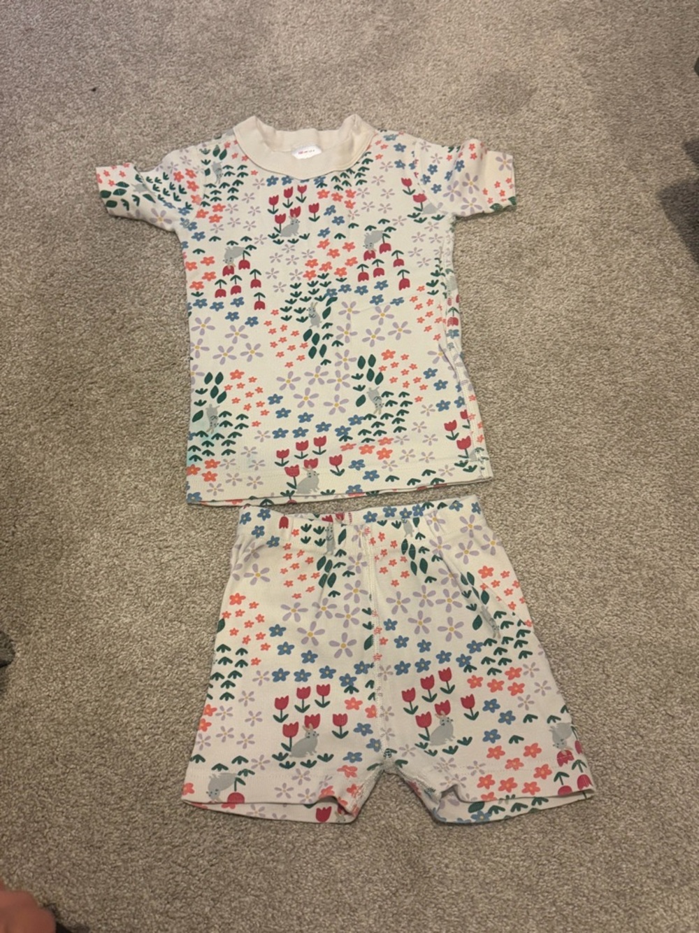 4T Hanna Andersson Cream Floral Two-Piece Pajama Set